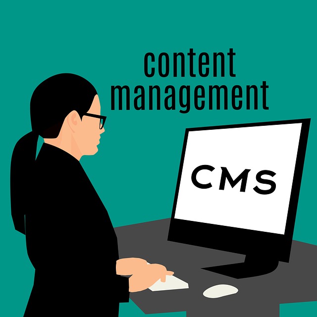 websites christchurch 