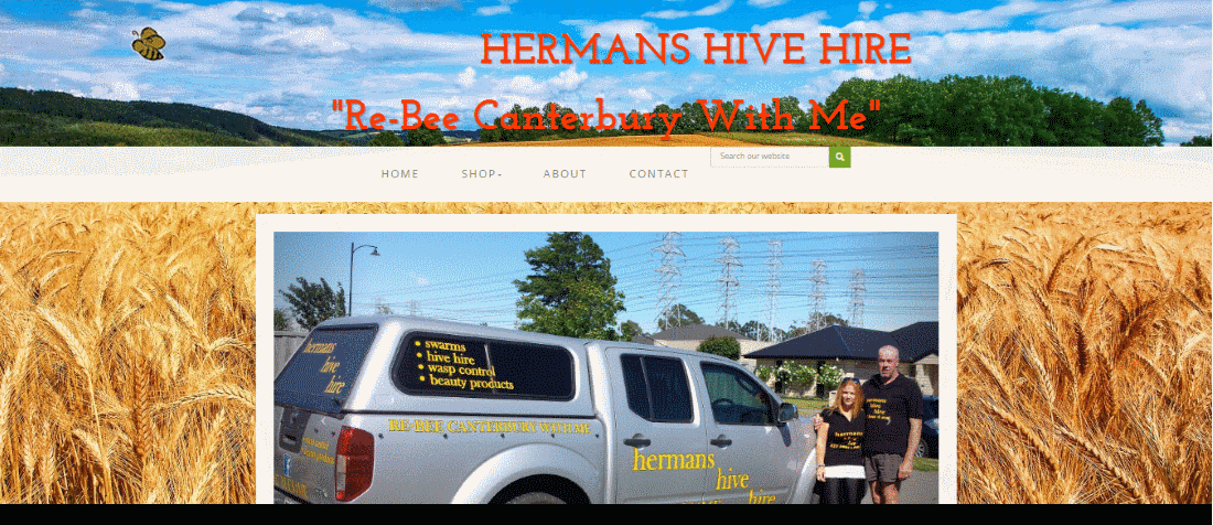 websites christchurch